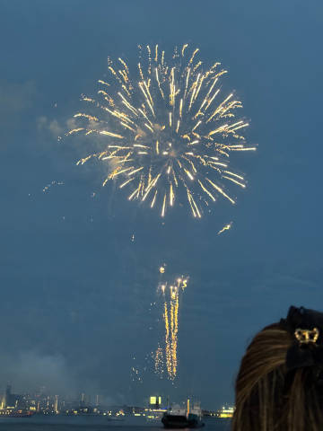 ฅ(･¨ ●)🎇