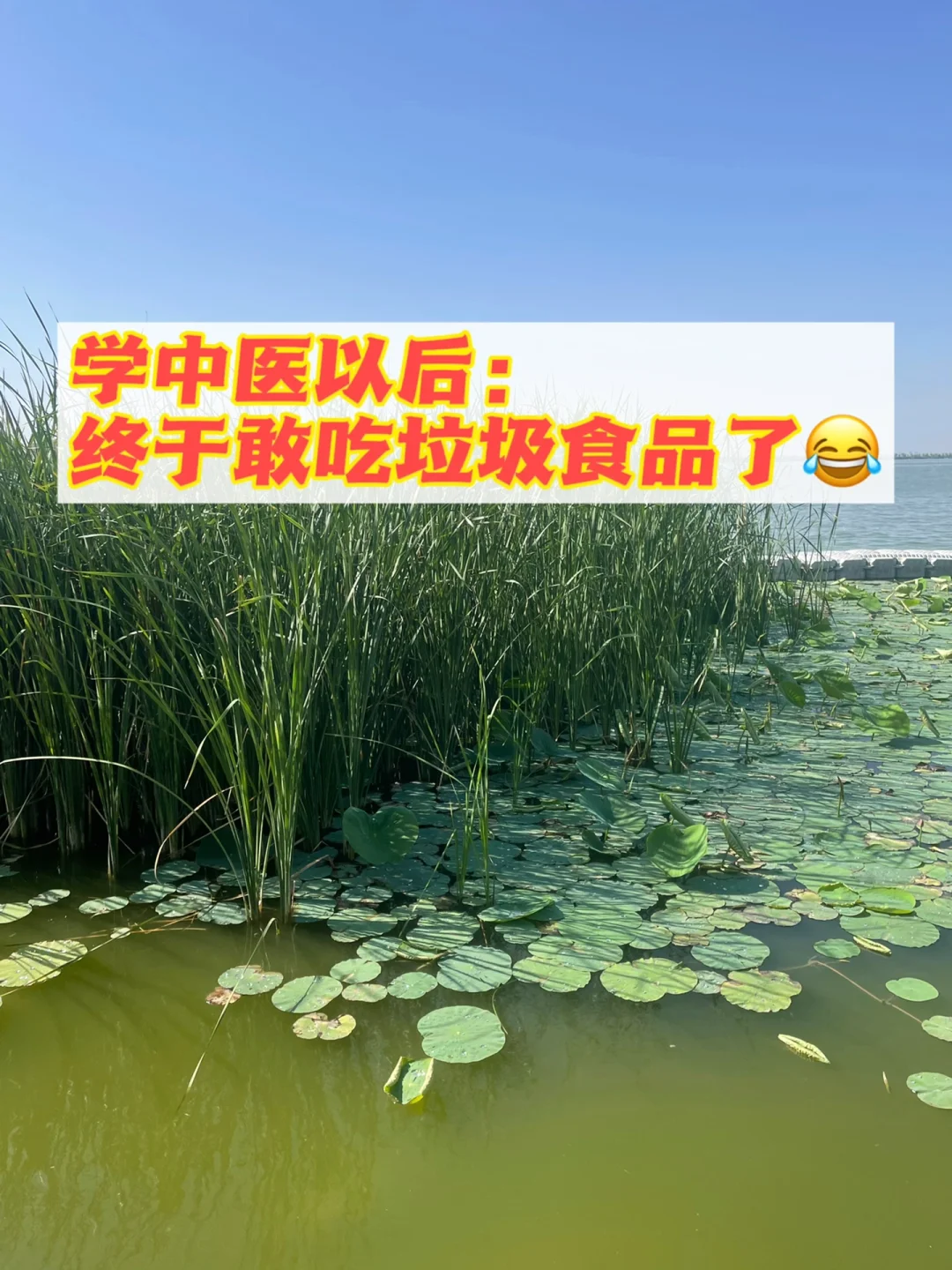 养生就不能吃垃圾食品？我不信！