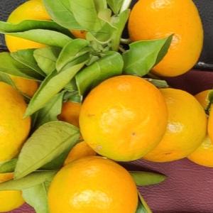 多财多亿聊历史