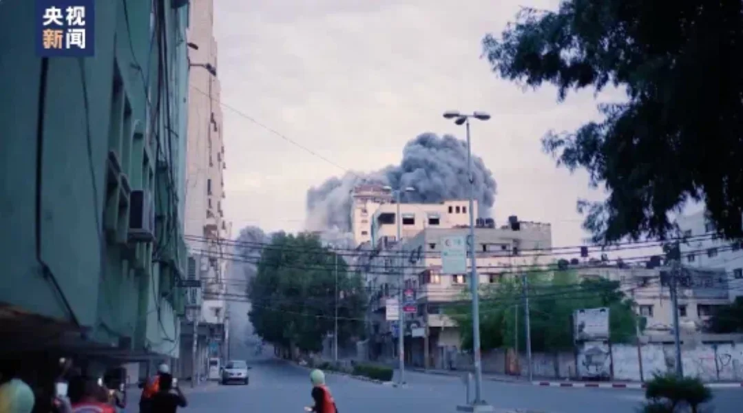 黑天鹅突袭，殃及民航！