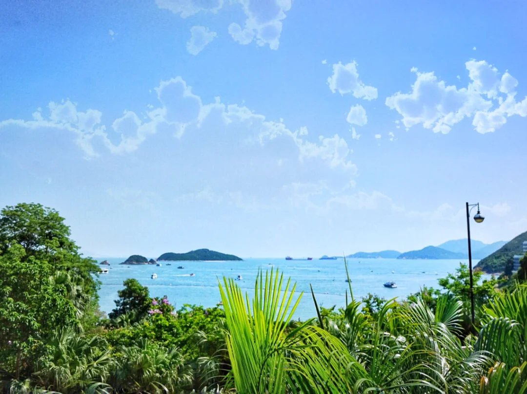 香港浅水湾影湾园🌴周末chill out 的假日风情