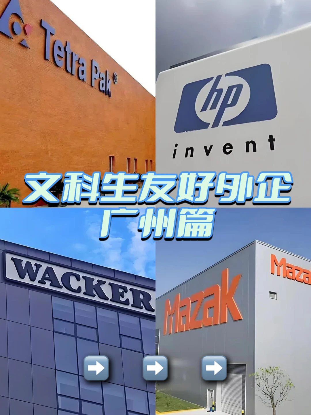 广州适合文科生投递的友好外企