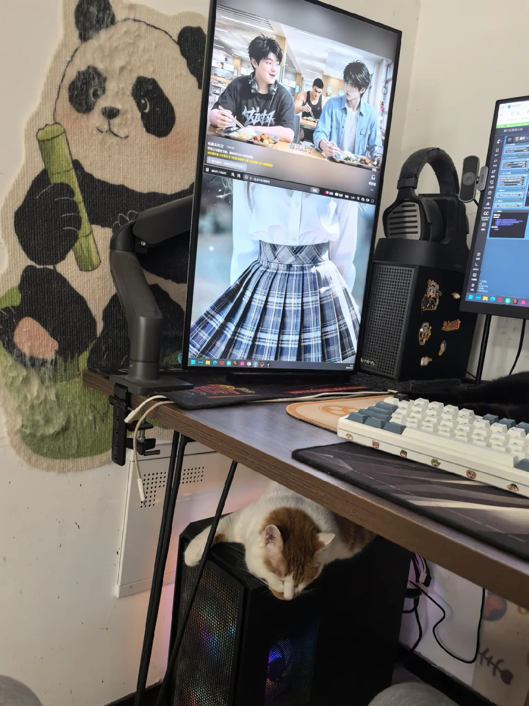 猫睡着，图渲着，我躺着