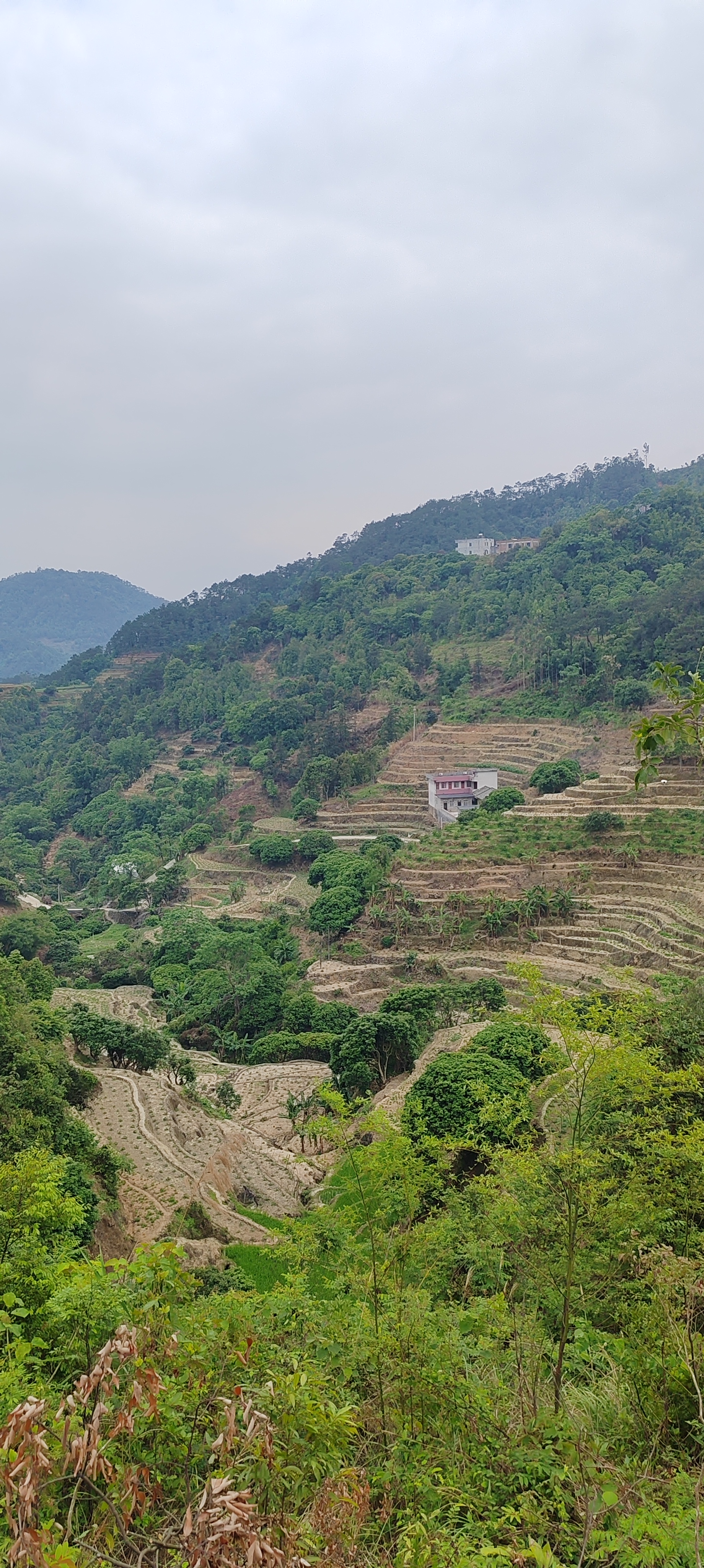 NBA里一人一城和多队效力各有魅力。一人一城，像诺维茨基，整个职业生涯...