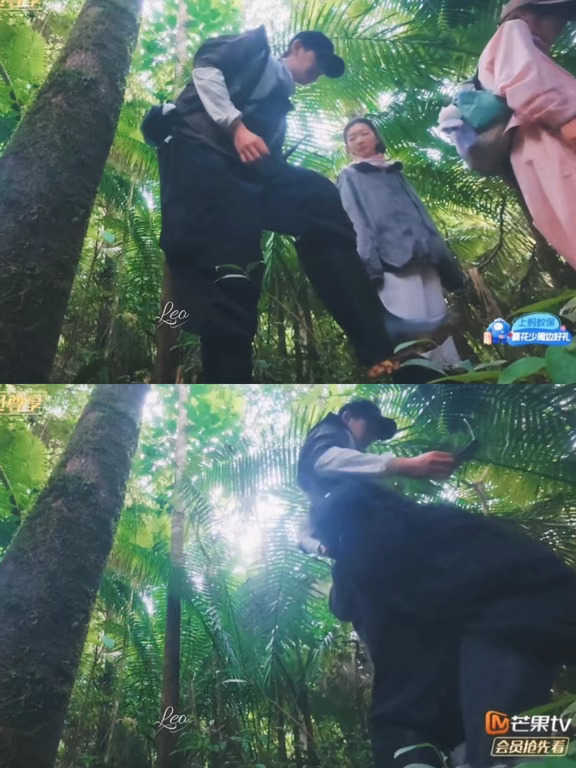 都喜欢用蚂蚁视角拍他🤣