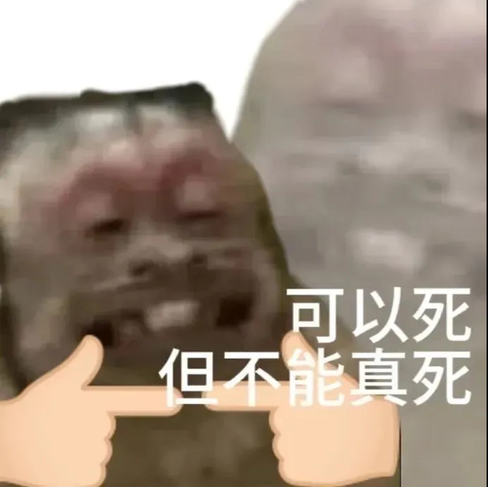超级可爱吗喽𝙒𝙚𝘾𝙝𝙖𝙩表情包