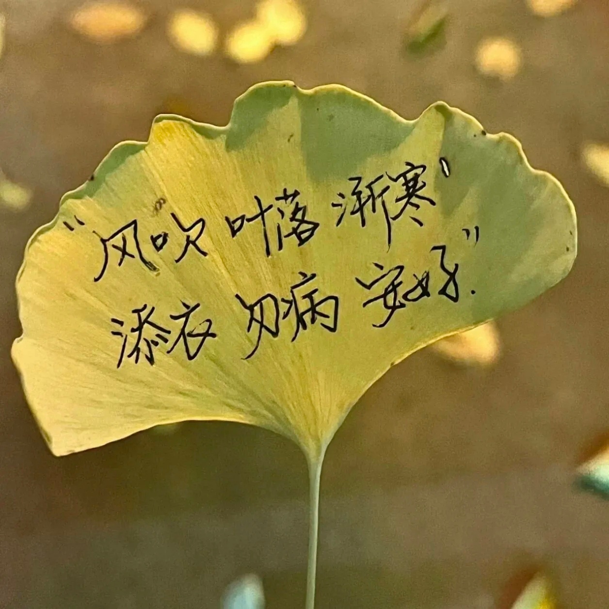 🍁读书见世，及时止损，万般皆是路过，好好活在当下～🍂01、🌺𝓂𝓸𝓇𝓃𝒾𝓃𝓰☕️𓂃ᐝ‣ 𝘆a秋渐深，天渐凉，向阳而生爱秋阳。桂花香，菊花黄，银杏叶黄写辉煌。瓜果甜，五谷香，丰收佳节皆匆忙。看高山，赏绿水，游山玩水俱欢畅。˙Ⱉ˙ฅ 早呀～💖02、🌵ꔛᐝʍօʀռɨռɡ🎈ˎˊ˗人活多久老天爷说了算，但活得精彩不精彩靠自己。书没白读的，见过的世面、肚子里的墨水，谁都抢不走。早安，今天也要开心🌻03、🚴🏻 𝒜𝓂𝒶𝓏𝒾𝓃𝑔 𝒟𝒶𝓎 🌿路不通时，选择转弯；心不快时，选择看淡。照顾好自己的健康和情绪，人生你就赢了一大半，剩下的老天自有安排。早安💐你好！04、✏️𝒢𝑜𝑜𝒹 𝓂𝑜𝓇𝓃𝒾𝓃𝑔🍃ᵕ̈🌵ᵕ̈岁月无声，却把人修成了风景；人生无常，才懂除了生死都是小事。尽人事，听天命，释怀失去，活在当下，愿余生喜欢的都拥有，该来的都在路上。早安🌈🏡ᵕ̈* ᙚᵐⁱᒻᵉ☀.05、🧡𝗡𝗶𝗰𝗲 𝗱𝗮𝘆🌸𓏸🍓𓂐...