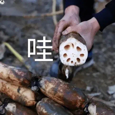 搞怪表情包
