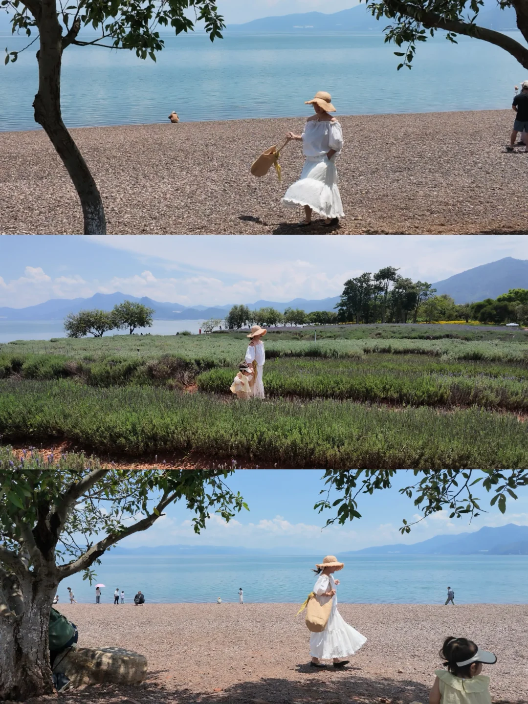 入夏躲热浪🌊在抚仙湖与一汪蓝温柔自愈
