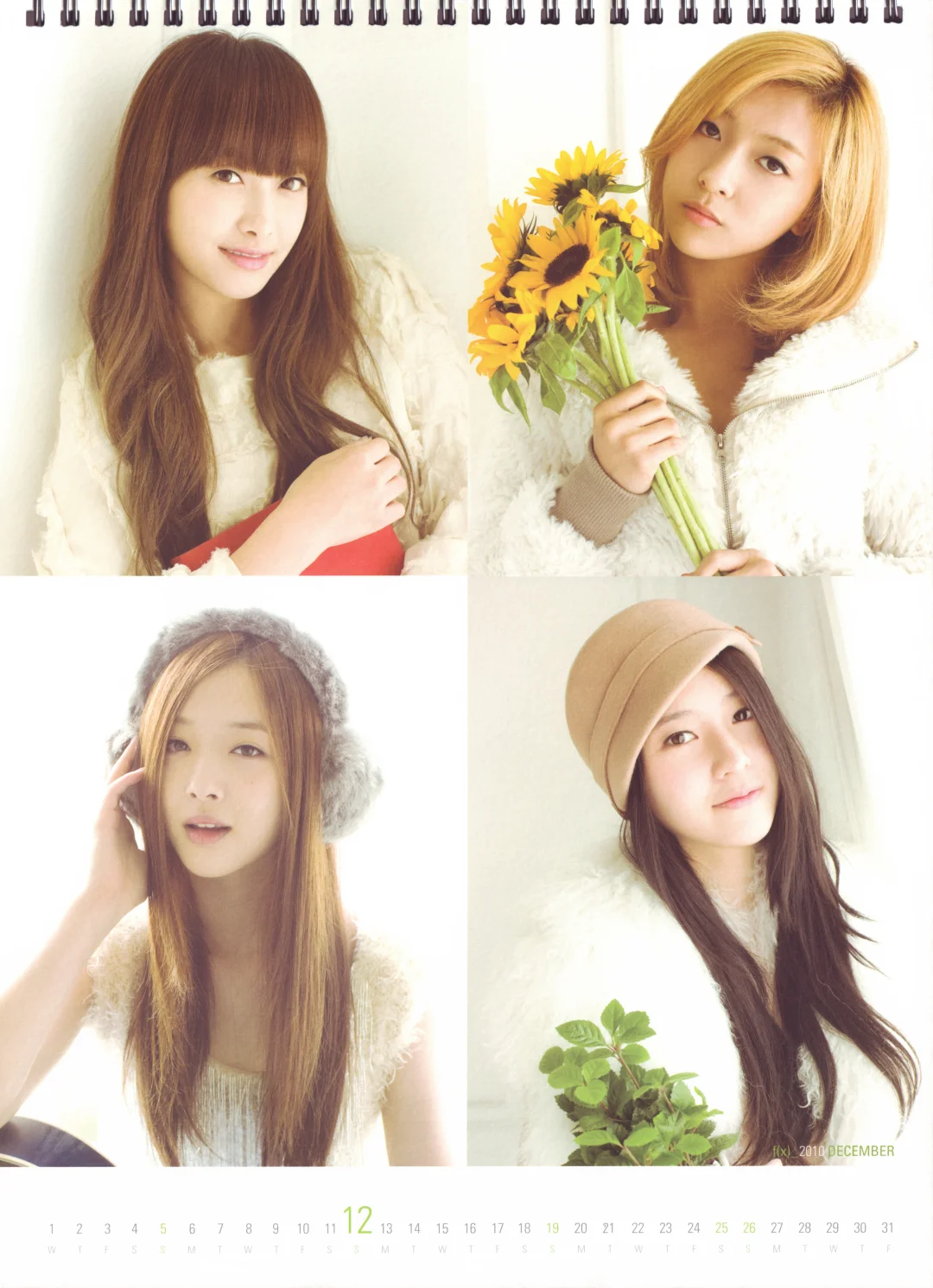 f(x) | 2011台历写真扫图¹