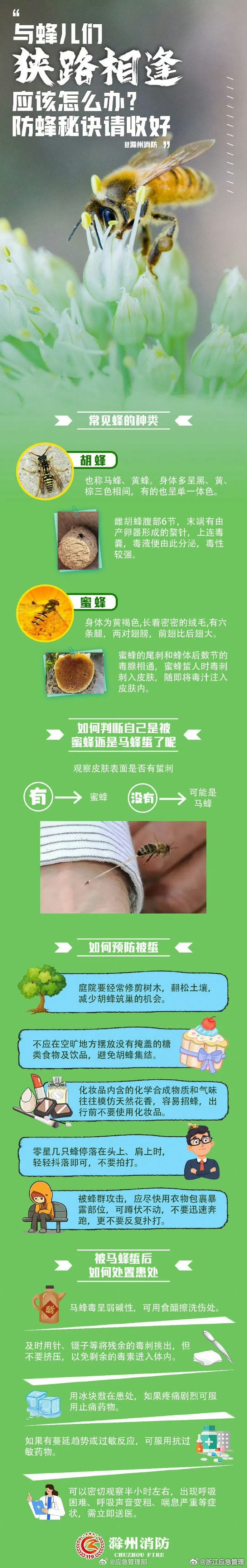 #母亲赶到家时两兄妹已被胡蜂蜇亡#【如何防范蜂蜇伤？】蜂窝多分布在野外植物茂密的地区，夏秋季到野外玩耍或工作要穿长袖长裤，如与蜂群相遇尽快躲避，不要主动拍打和驱赶。非专业人员不要动蜂巢。一旦被蜇伤出现过敏反应，及时就医！如何防范蜂蜇伤？一起来看看吧！（滁州消防） ​