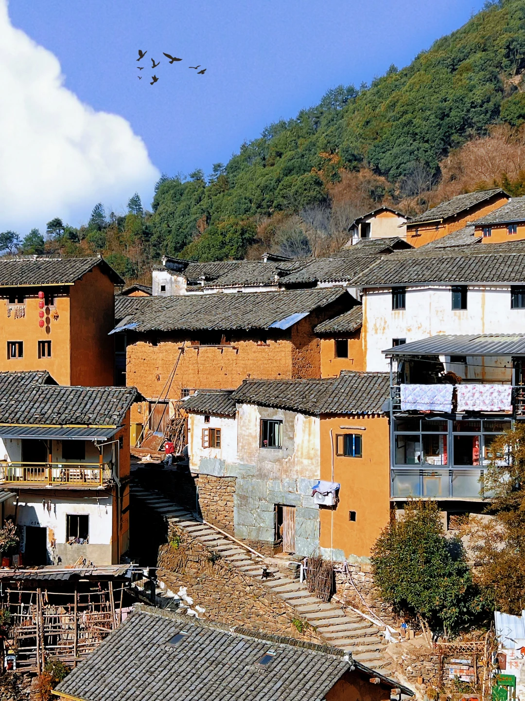 比起呈坎📍我更爱这个无需门票的避世土楼