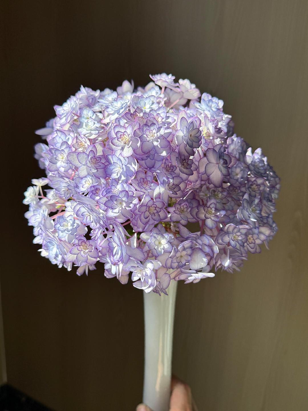 💐 ​