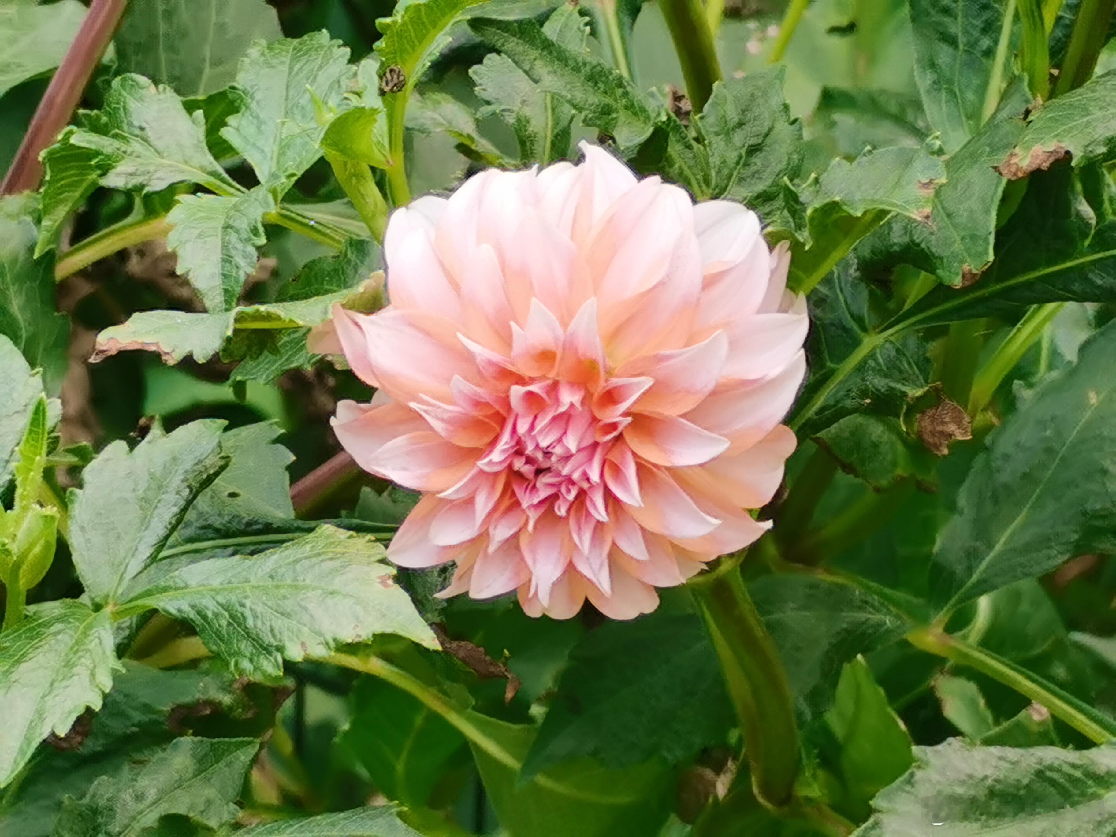 #草根语录##如何才能变得更加优秀#   ①执行力：想一百次，不如去做一次；② 认知力：拓宽视野，超越思维局限；③心力：坚韧自信，支撑超强“续航”……想要变得更优秀：执行力是标配，认知力是高配，心力是顶配。祝你拥有快马加鞭的执行力，高瞻远瞩的认知力，持之以恒的心力，活出精彩，走向成功！ ​