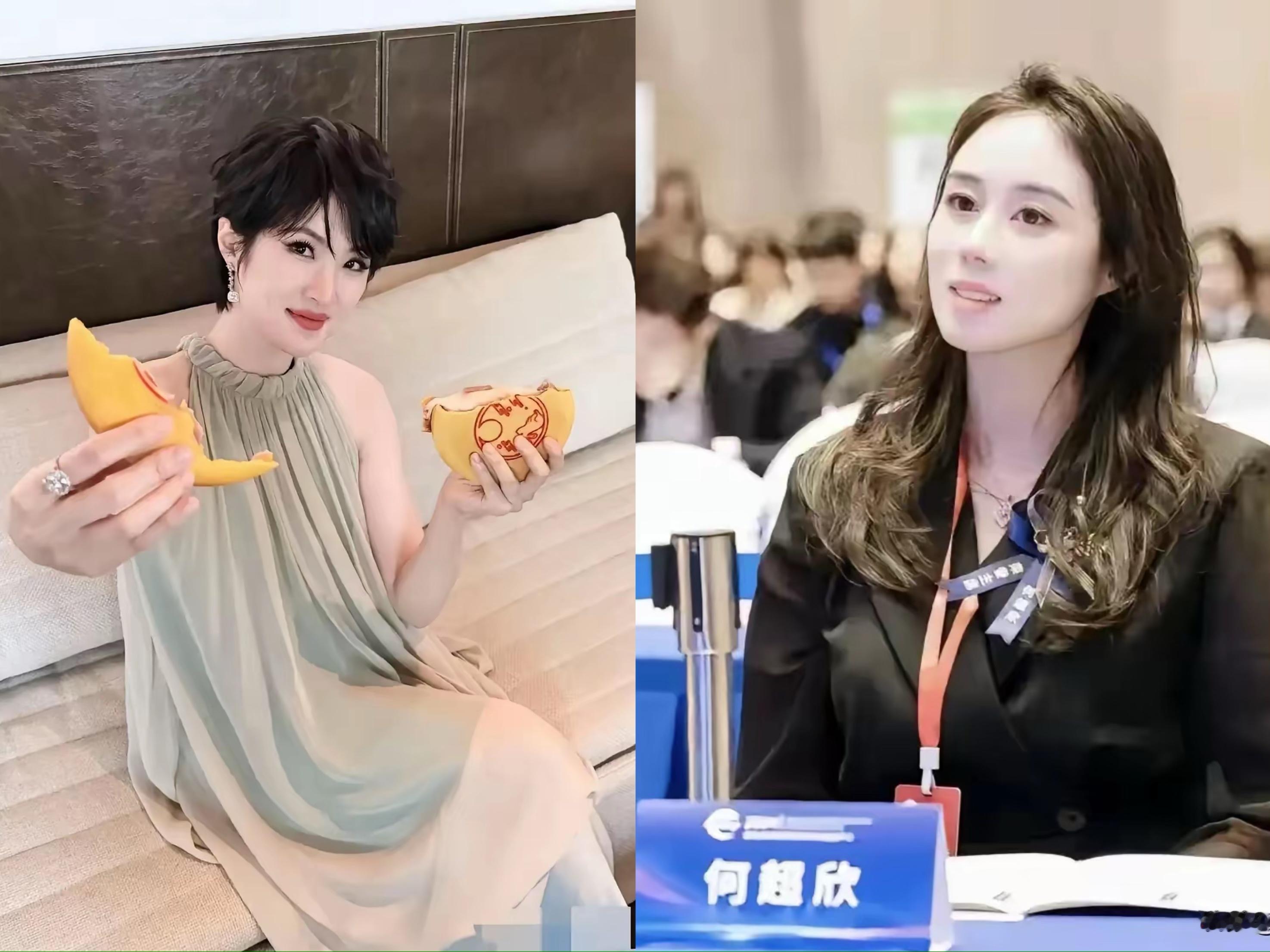 谁能想到，当年四太心里最理想的儿媳人选，原本并不是奚梦瑶。在何猷君和奚梦瑶走到一起之前，坊间一直流传四太看好姚安娜，觉得她家世过硬，又是哈佛学霸，条件远比模特出身的奚梦瑶更契合豪门联姻的标准。姚安娜和何超欣本就是留学时期的好朋友，传闻四太还拜托小女儿帮忙牵线，试着撮合她和何猷君。

但姚安娜的想法很