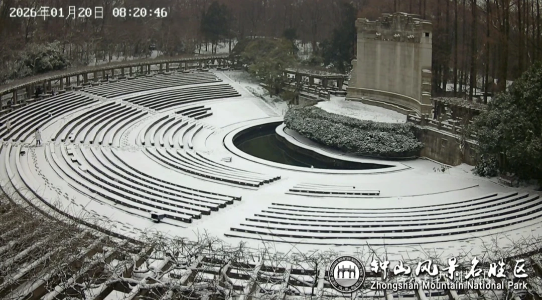 清晨的雪❄️｜钟山风景区音乐台实时雪景实拍