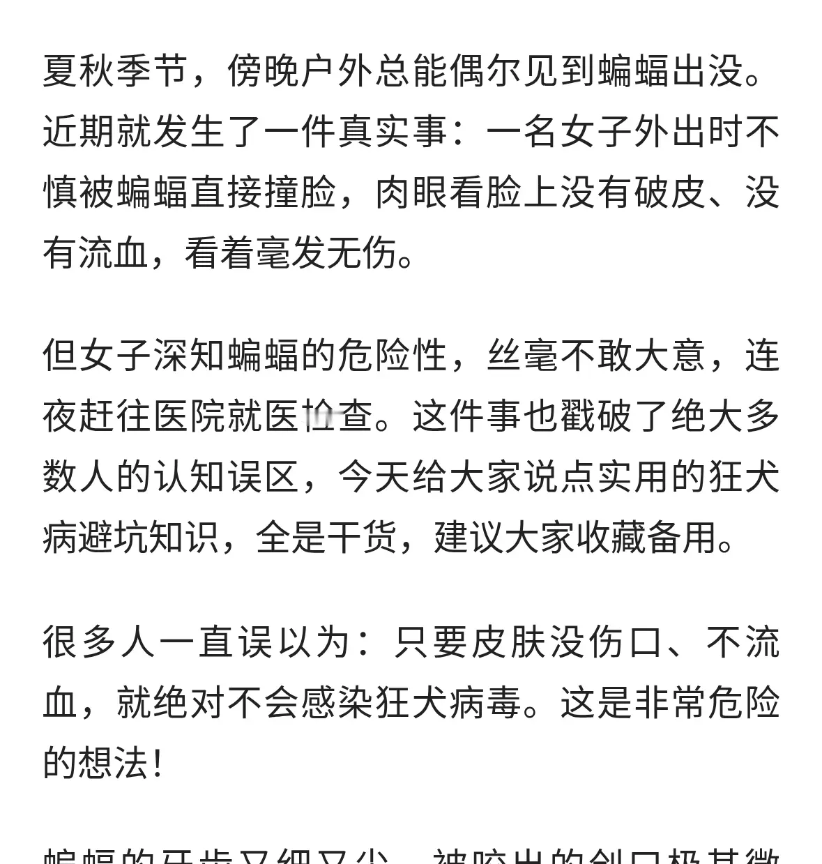 蝙蝠撞脸没破皮就没事？很多人栽在这误区，看完保命
