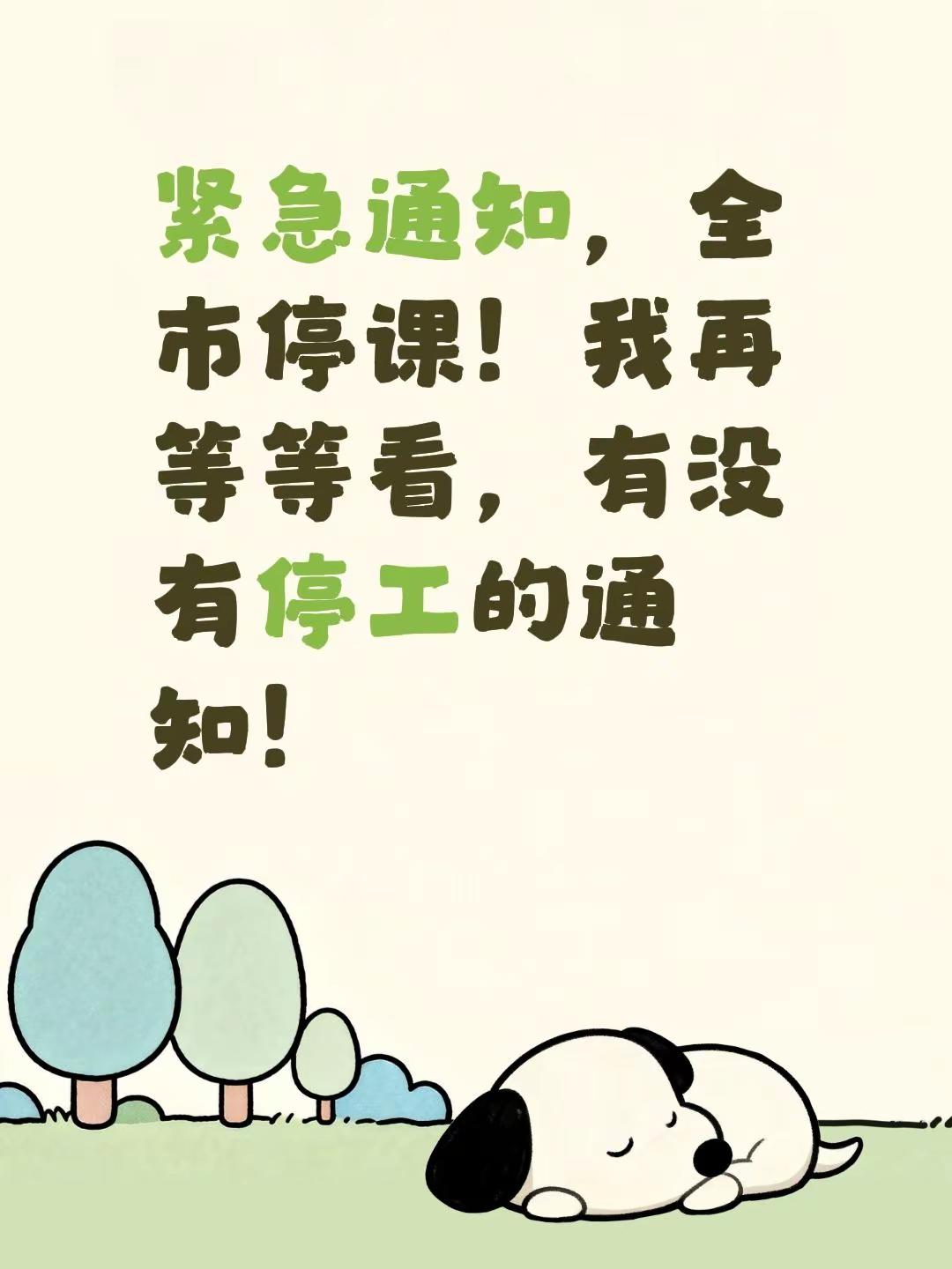 想看看你们门口雨多大了？？紧急通知，全市停课！我再等等看，有没有停工的通知！