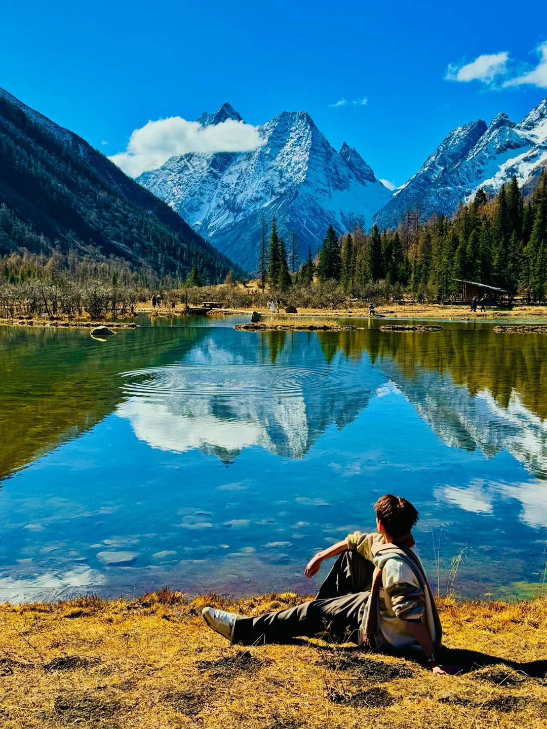 在深秋的四姑娘山🍁我拍了18张人生live图