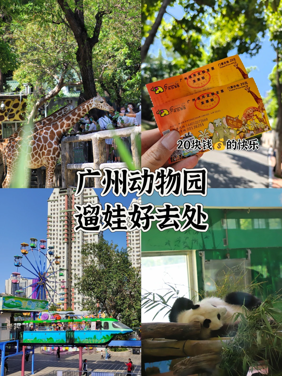 谁也阻挡不了我去广州动物园遛娃