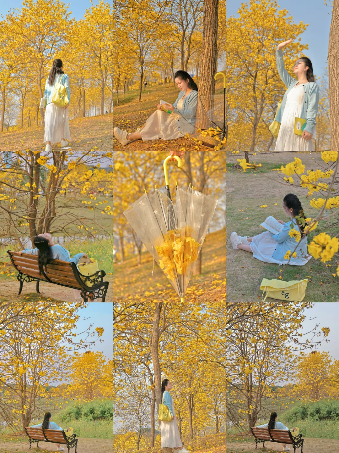 南宁三月顶流‼️金色浪漫限定