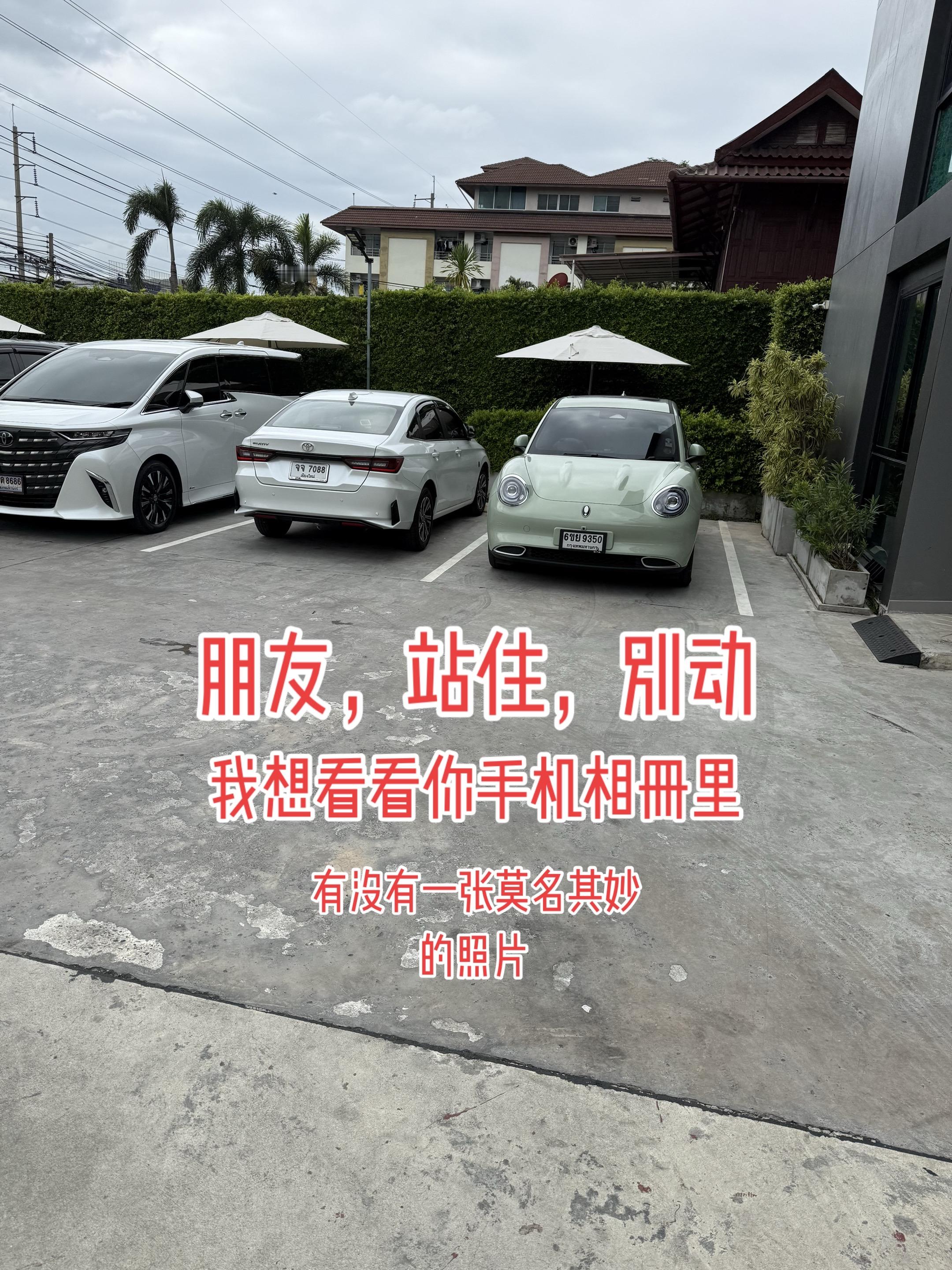 <p>莫名其妙 人类迷惑行为 <!--{img:0}--></p><i...