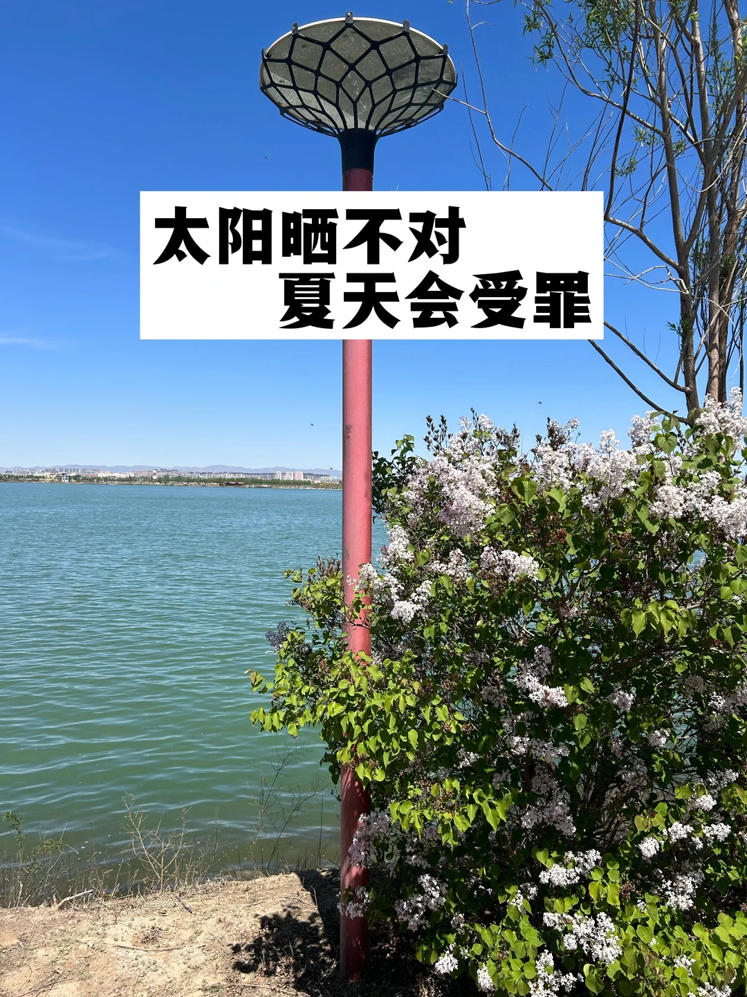 太阳晒不对，夏天很受罪！