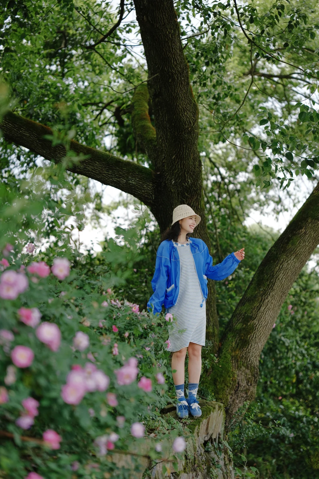 与山野里的春天，撞个满怀！