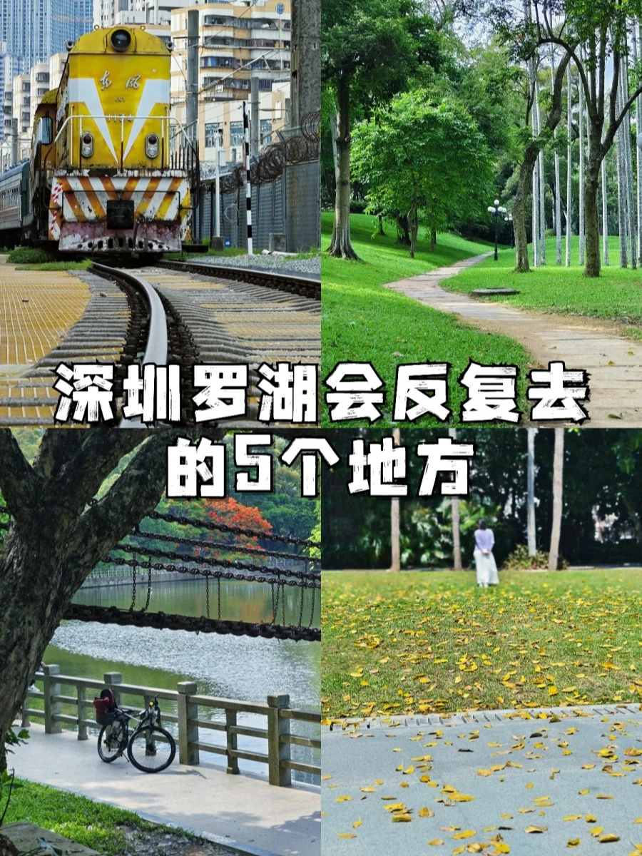 深圳罗湖会反复去的5个地方🍃