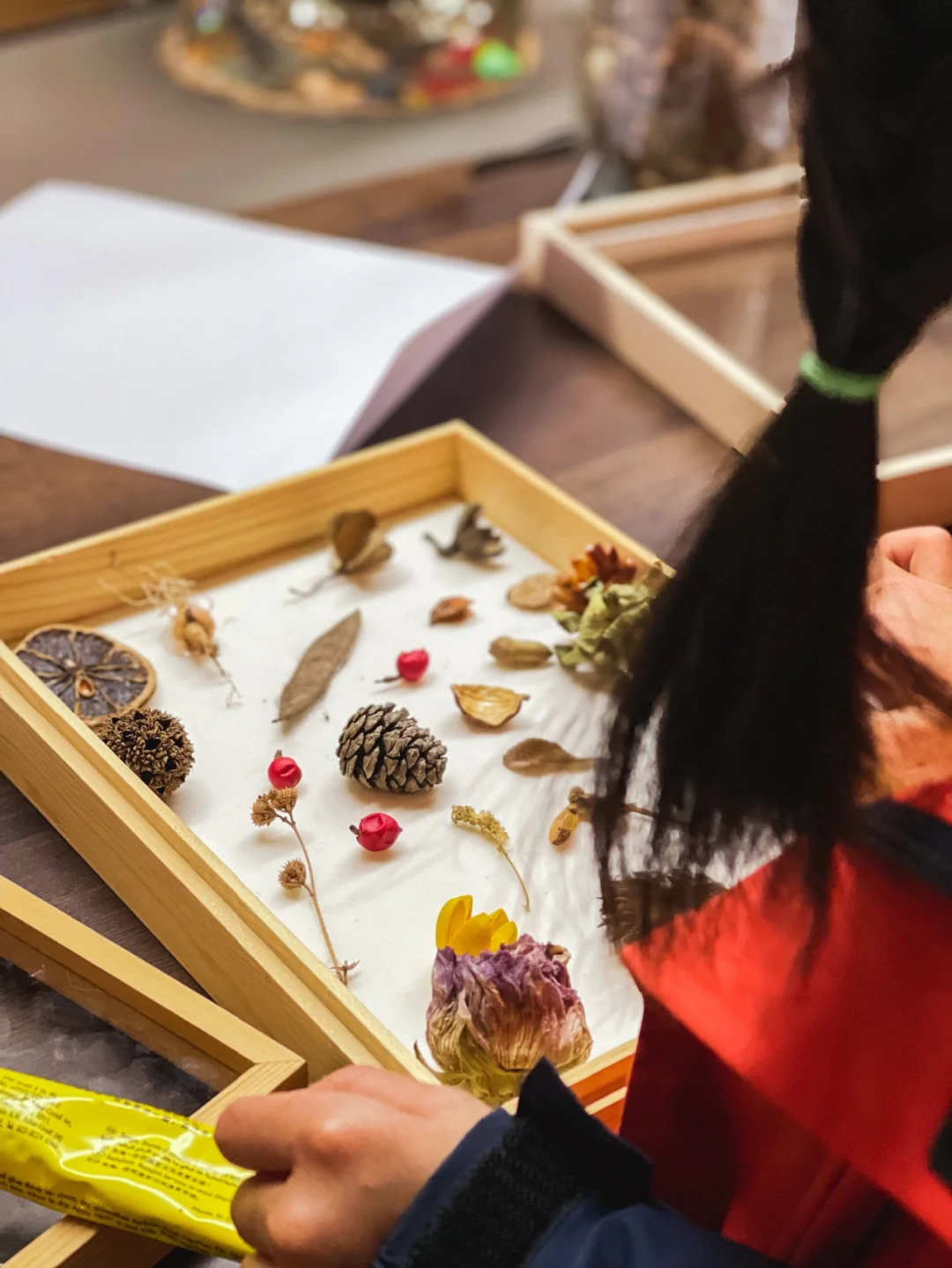 自然物有超能力