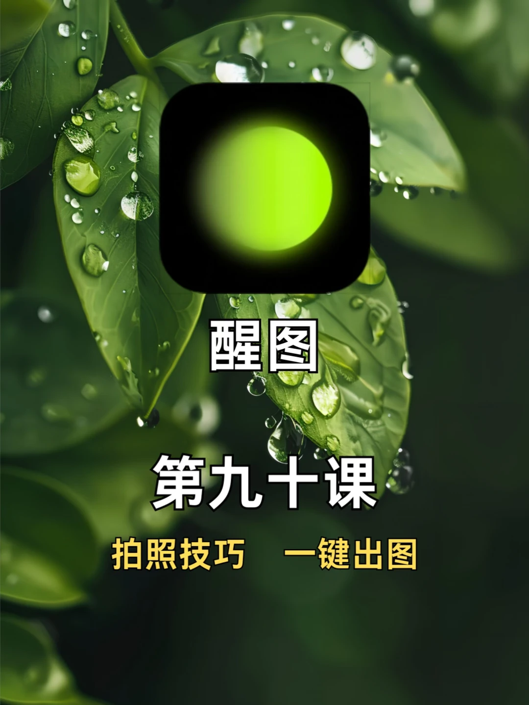 女生必备拍照神器📷手机也可以直接出片✅