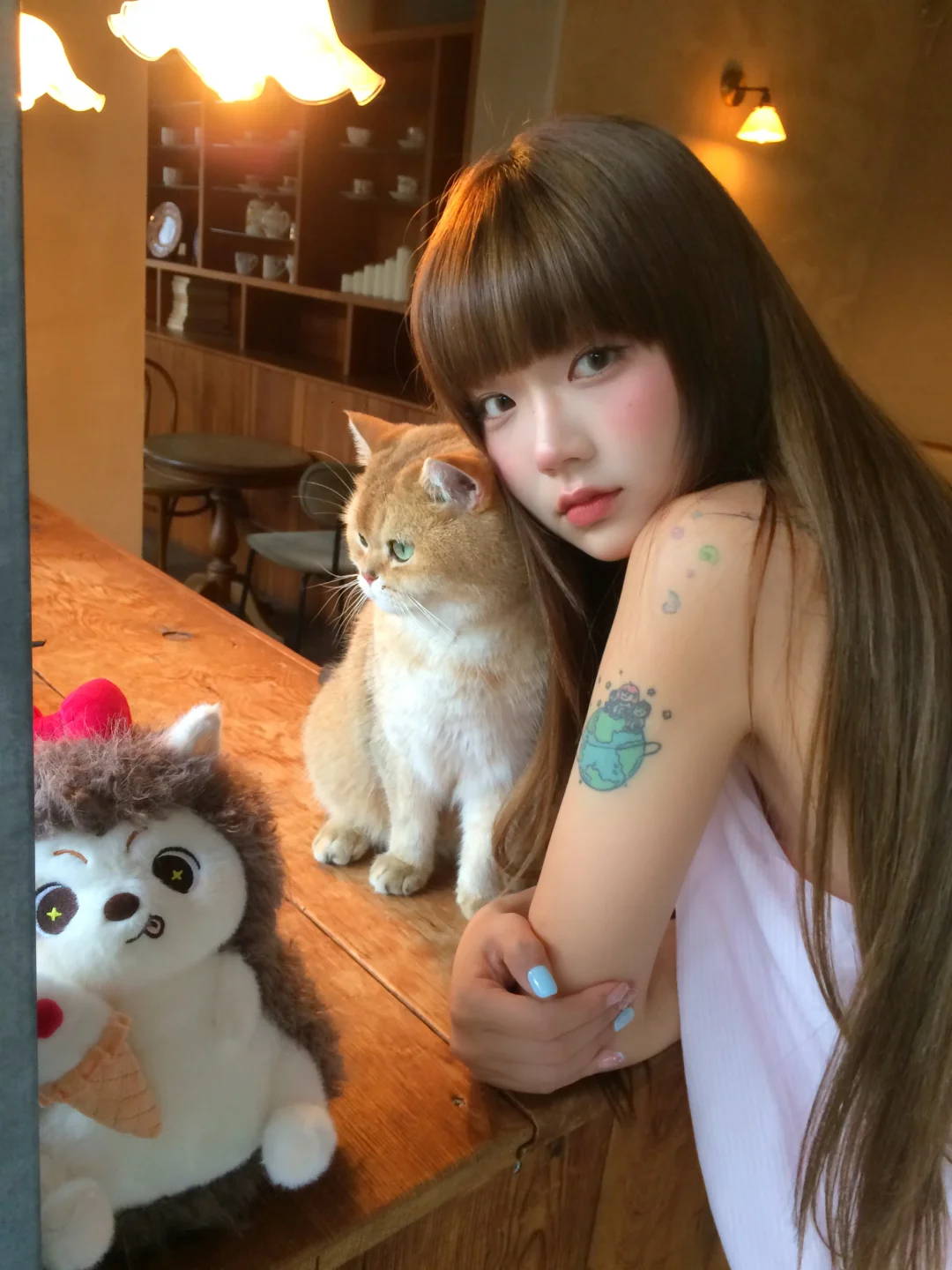 🍄🐹°。🐾