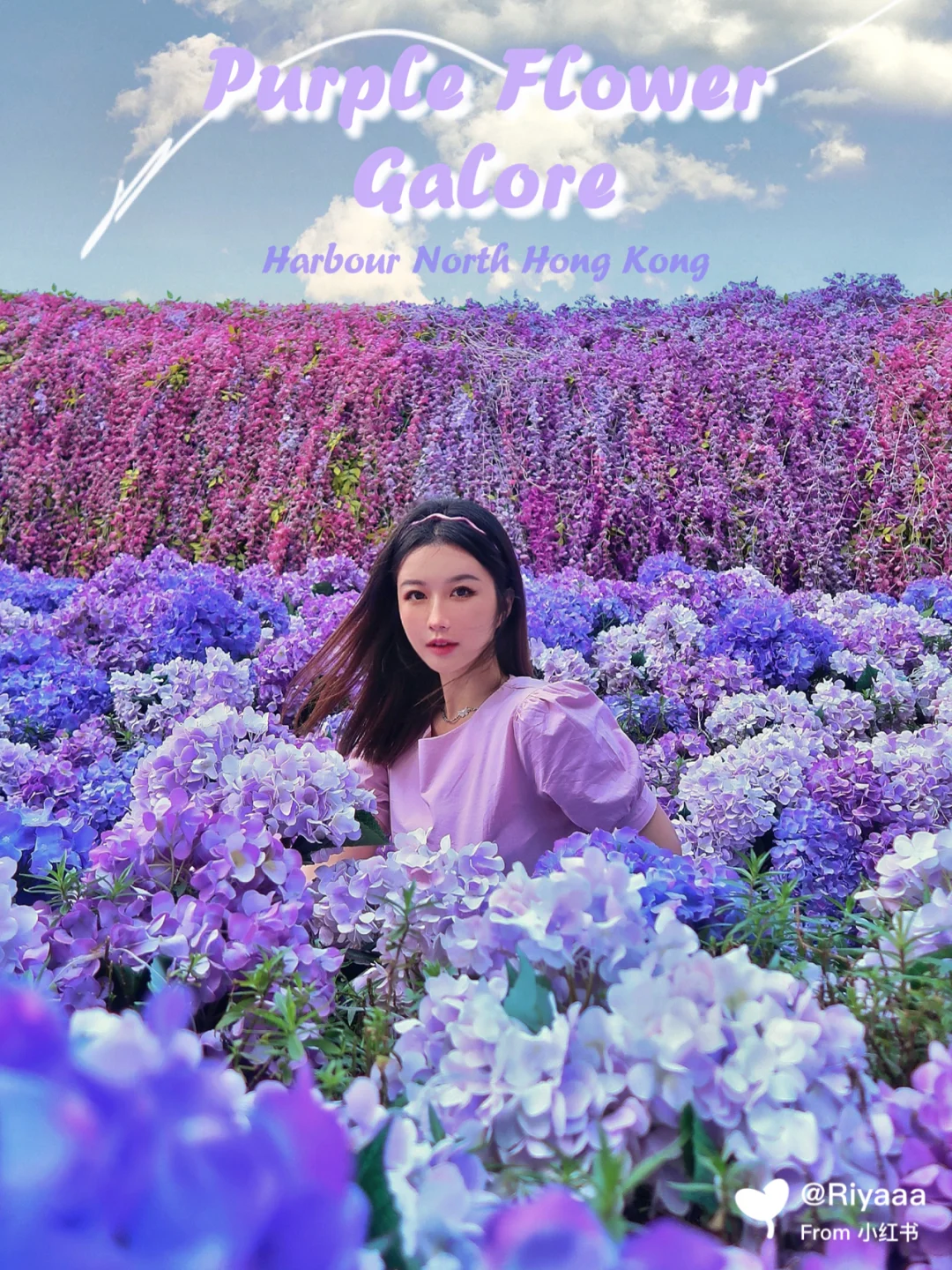 香港｜去不了普罗旺斯就来北角看紫色花田吧