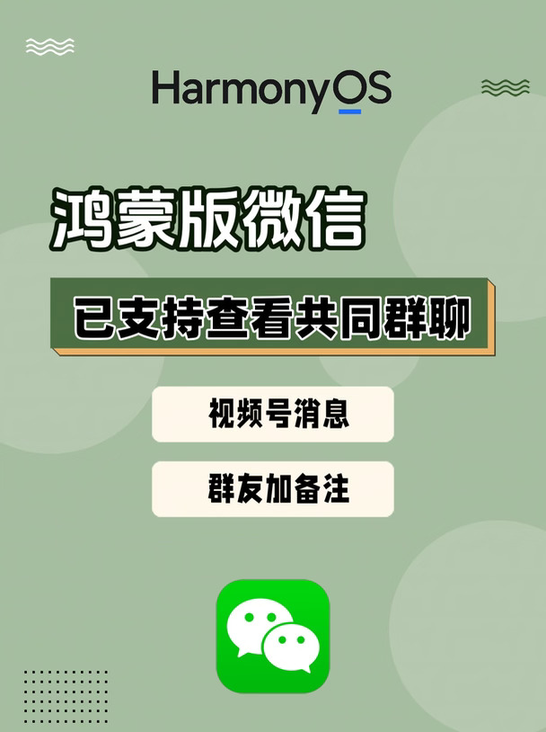 鸿蒙版微信已支持查看共同群聊