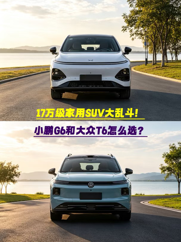 每年要回老家自驾？看完G6和大众T6再买车