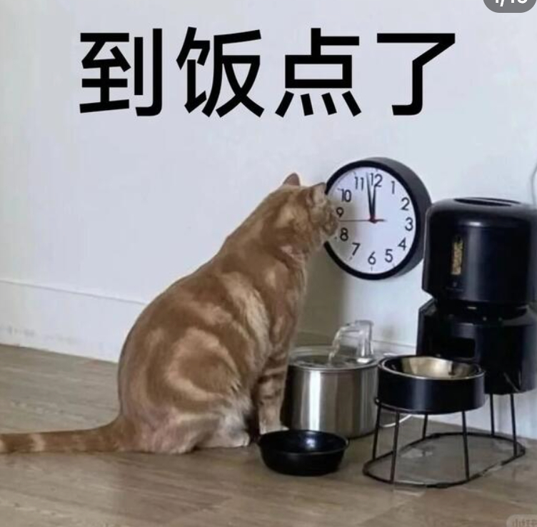 又到点午餐的时候啦‼️大家记得先领荭包再点更便宜👌 

【美团】30-11起/38-18🧧
直达👉
品质外卖👉 38起-20/点评券55-25🧧

【桃宝闪购—饿了么】15-13/38-18.8🧧
先戳👉
再戳👉

【京东闪送】
惊 ​