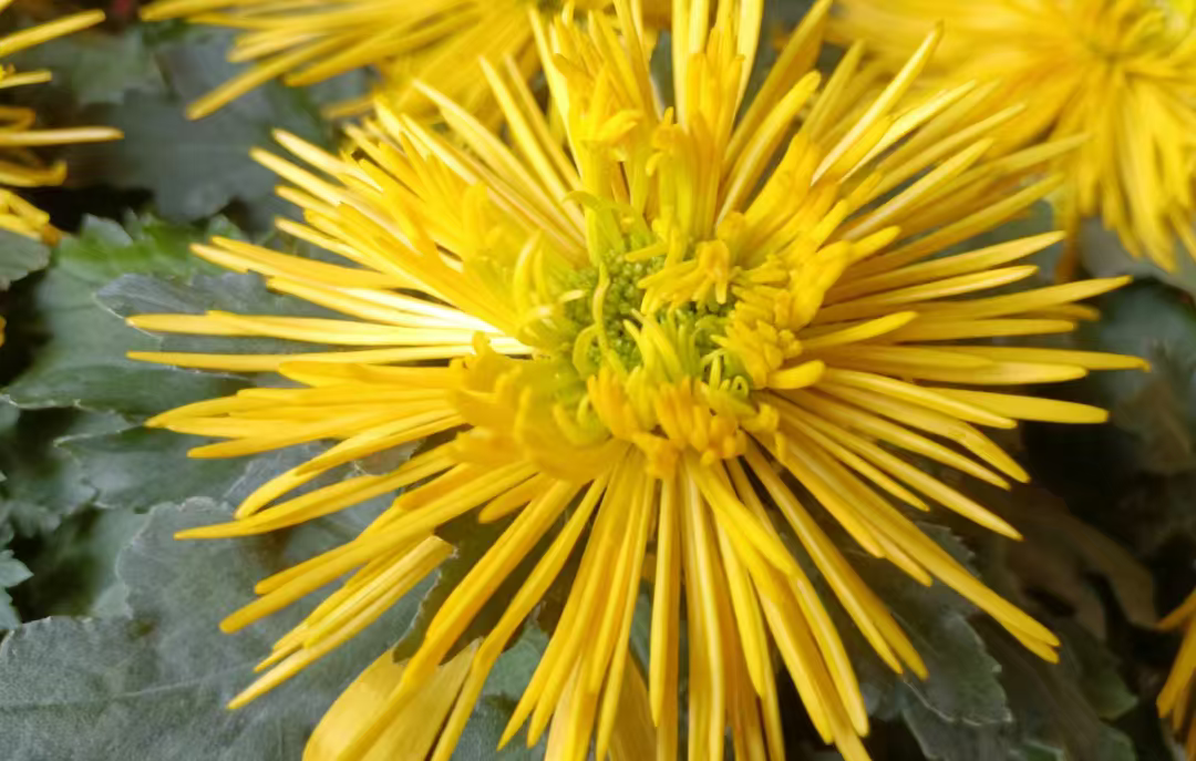 一段醍醐灌顶的话：   “人情世故，   不是虚伪，   而是生存的必...