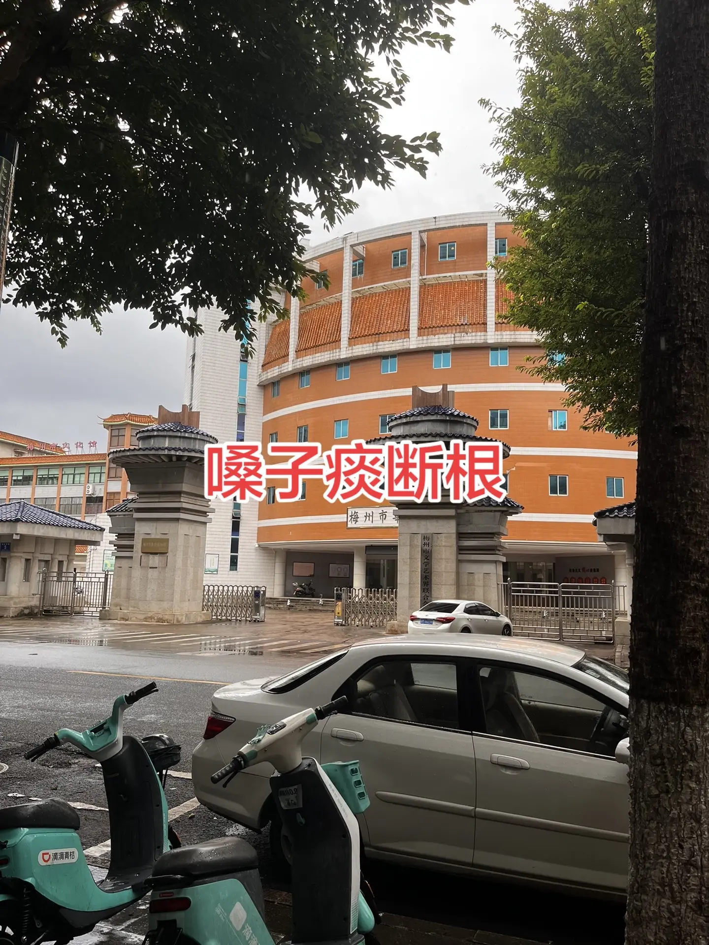 第二届