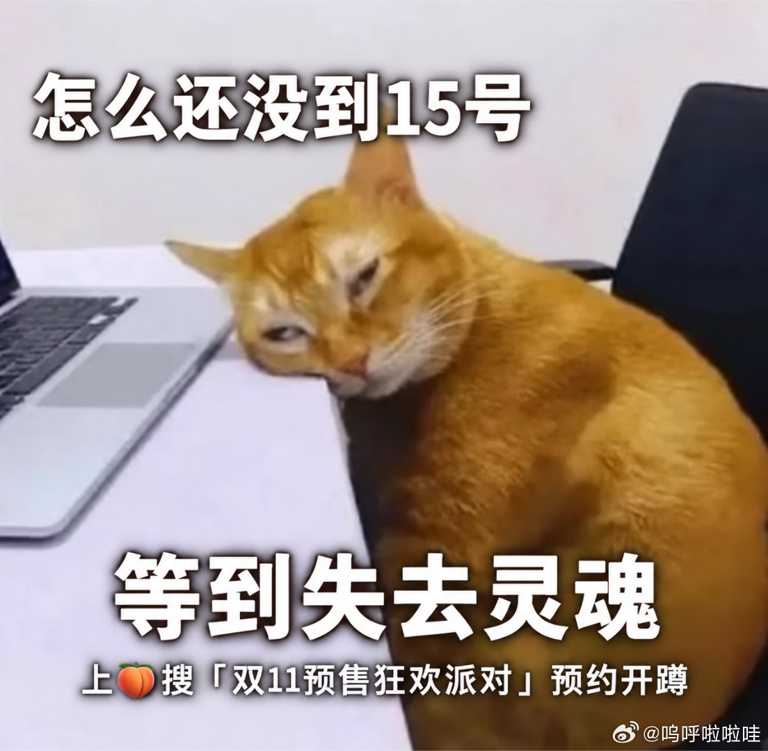#淘宝直播双11预售狂欢派对# 想看张小婉、酷酷的滕的趣味舞台吗，上淘宝搜索活动完成预约，10月15日17:30，和吉克隽逸毕雯珺一起解锁福利。 ​