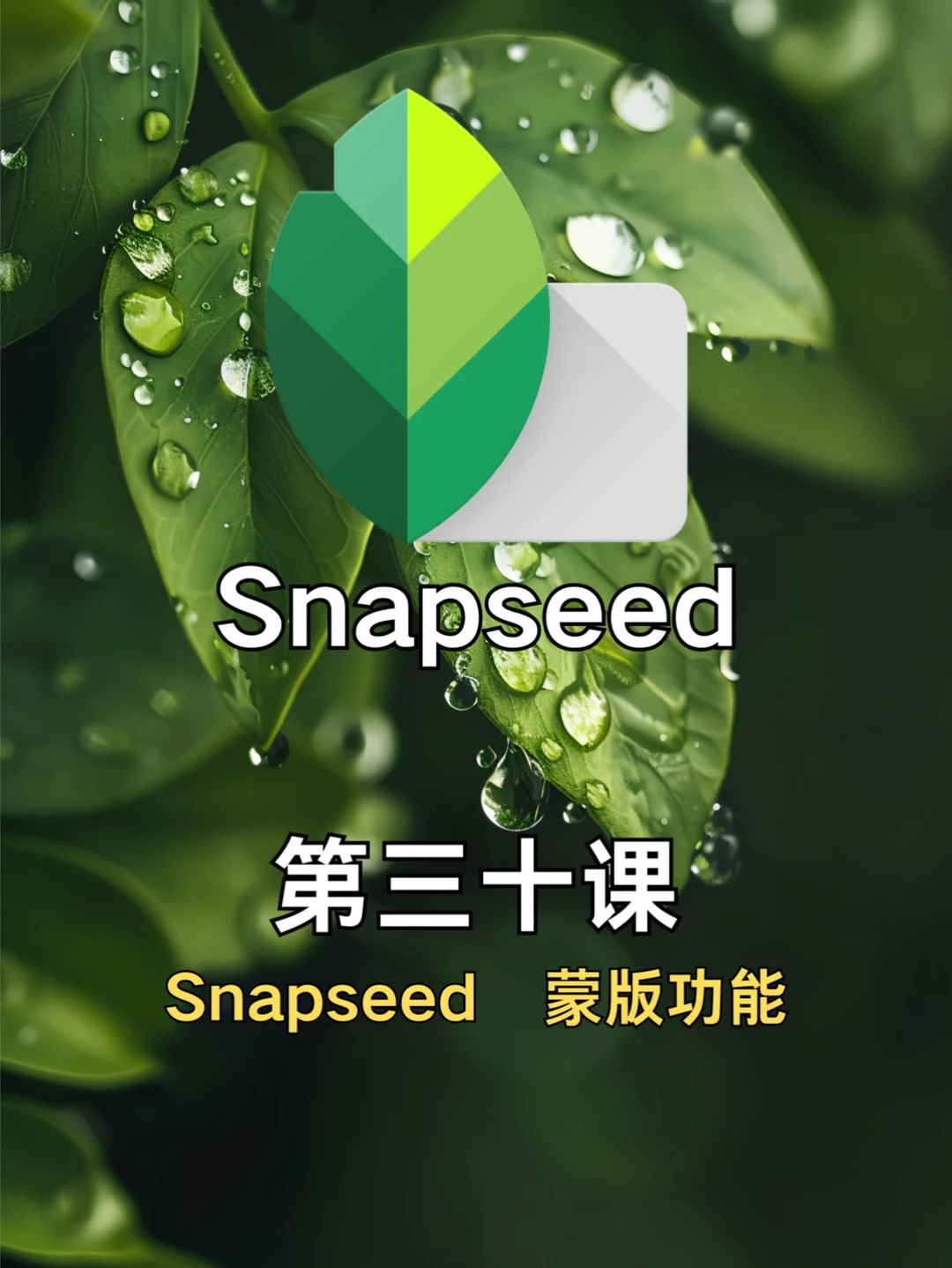 一键：Snapseed｜蒙版功能