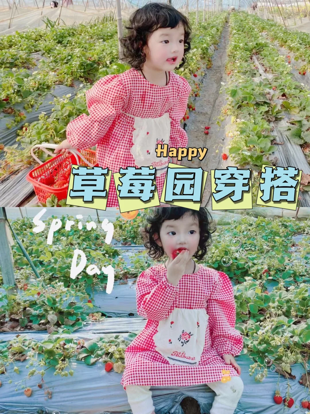 武汉遛娃第2️⃣5️⃣站—抓住吃草莓的尾巴🍓