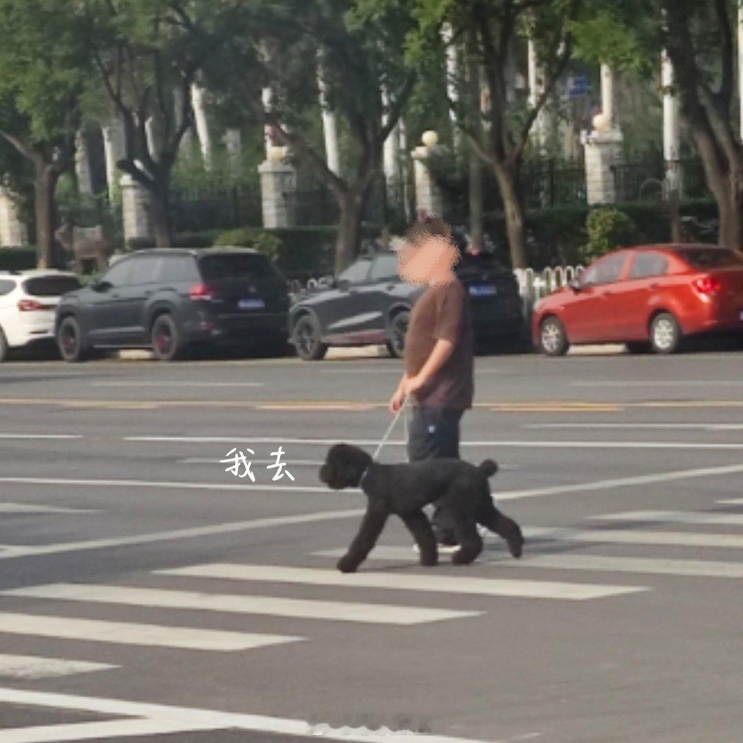 今天的内容是...
①回家day8 来我奶家住了[笑哈哈]我放假之前就想在我奶家住...（因为我奶家安静啊...）但是我奶第一天没有邀请我。昨天邀请了我没听到（我爹转达了一下）。于是今天早上火速来了[笑哈哈]
事实证明是在我奶家也懒得学习。。[跪了]
②成都终于过审了...真是太不容易...非常激动地和搭子 ​