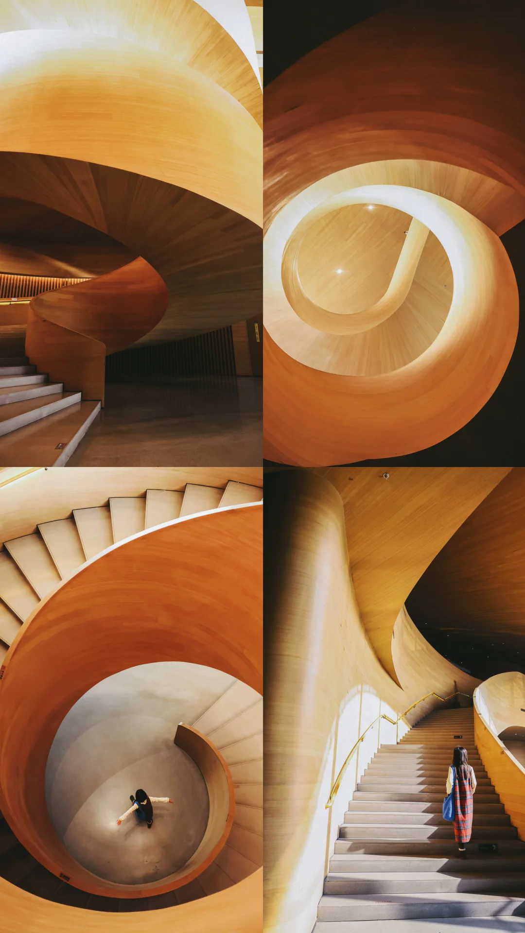 来成都！强烈建议留1天时间给这个公园～