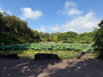 莲花山一日游