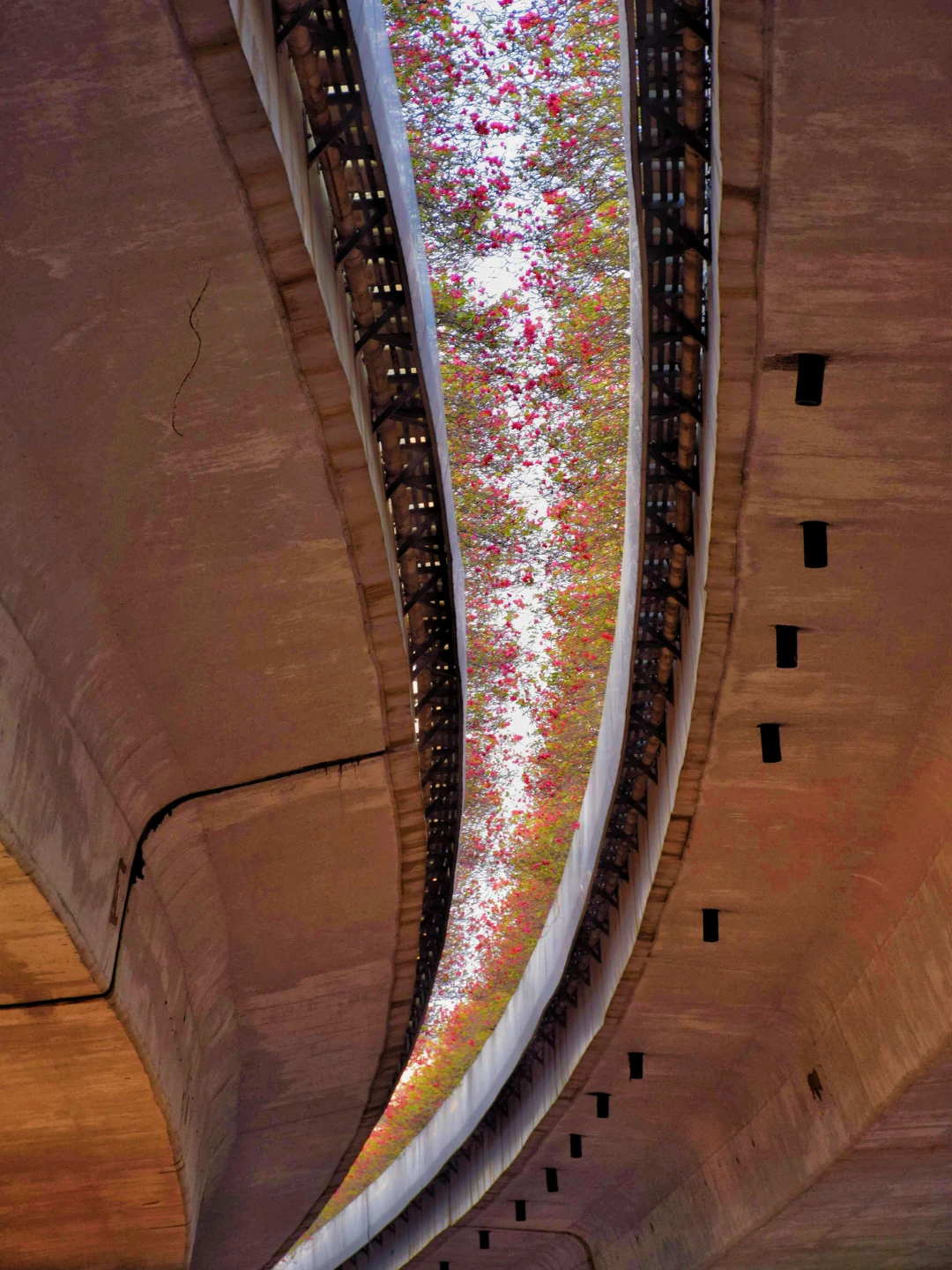 接下来的泉州，是万万次的春和景明...🌸