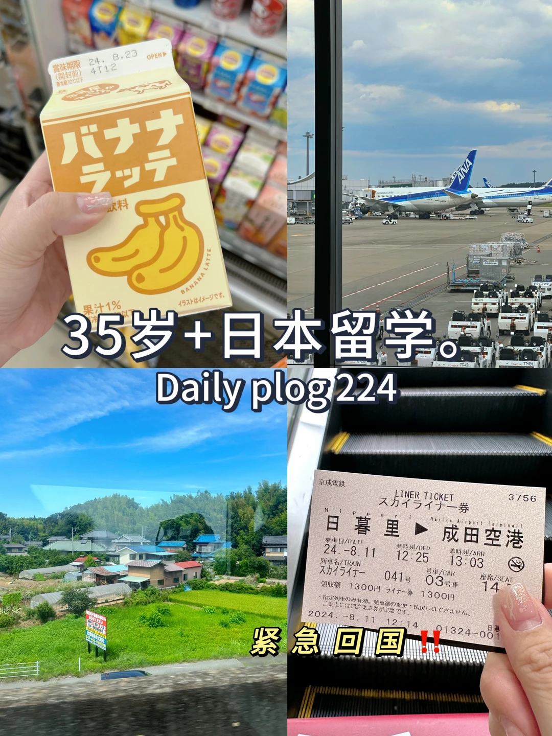 35岁+日本留学✈️遭遇留子最不想遇到的事
