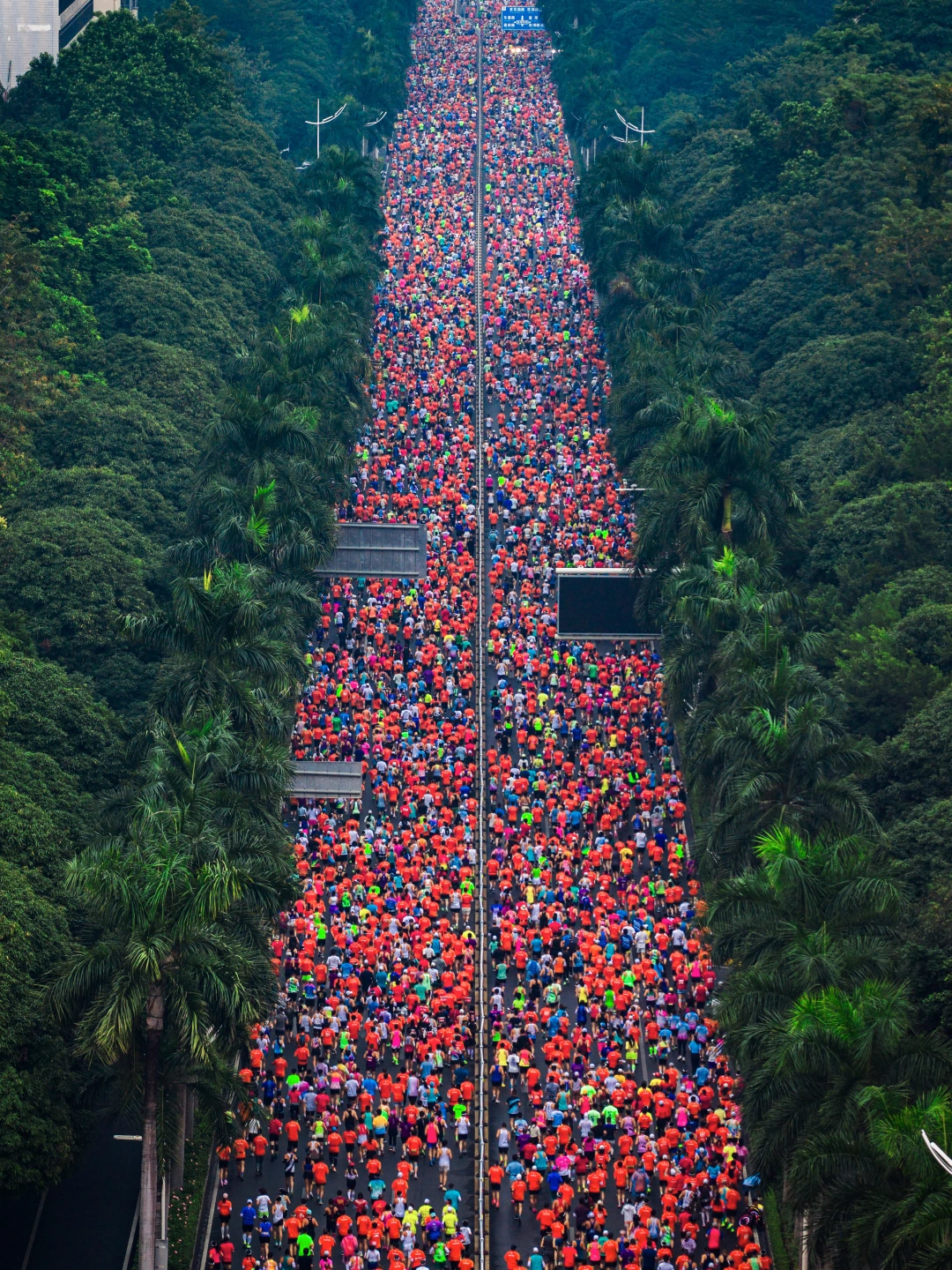 在城市森林里跑马拉松，南宁这次又赢麻了