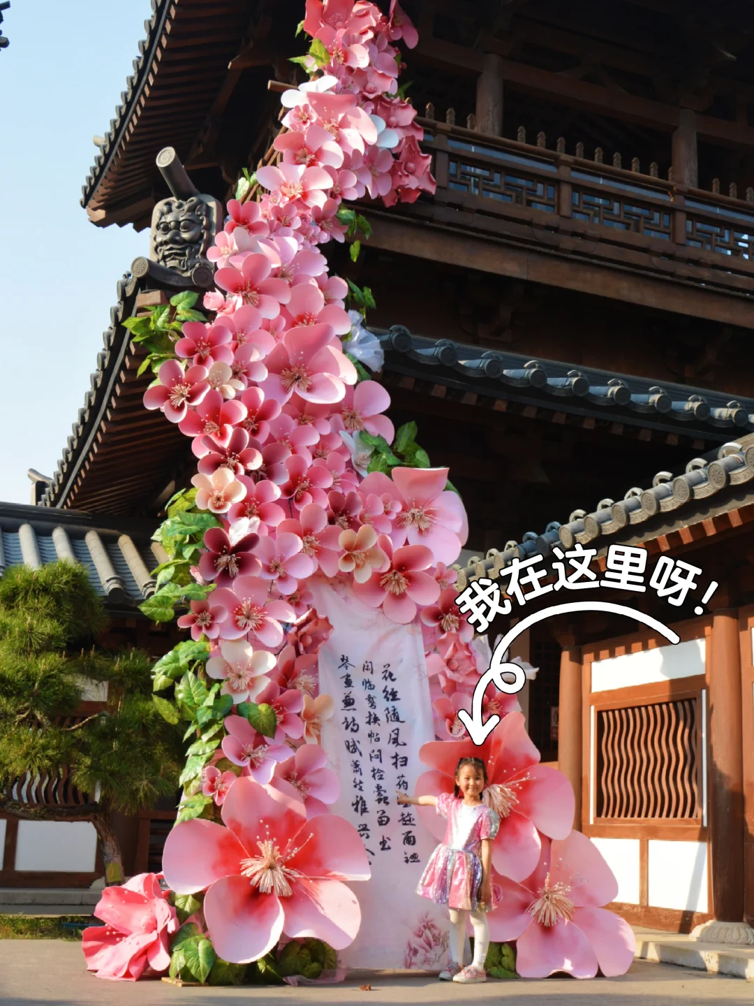 苏韵十三园果然没骗我｜真的让我眼前一亮!