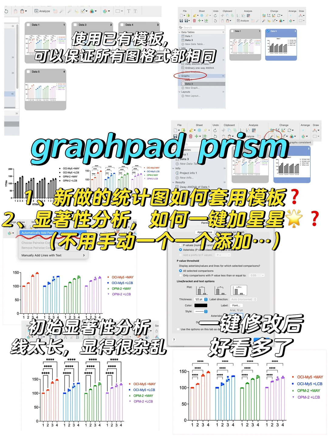 如何套用以前的模板❓如何一键添加显著性❓