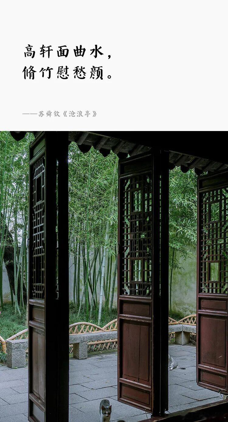 挖一挖苏舜钦的竹   原创  潘慕白 苏州园林研究所         ...